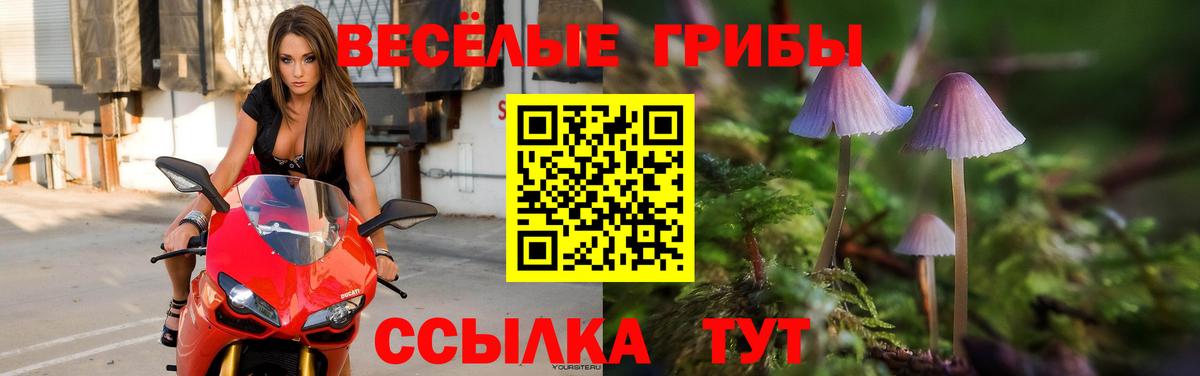 Галлюциногенные грибы MAGIC MUSHROOMS  Псилоцибиновые грибы Psilocybine cubensis  Вход с VPN  Гуково 